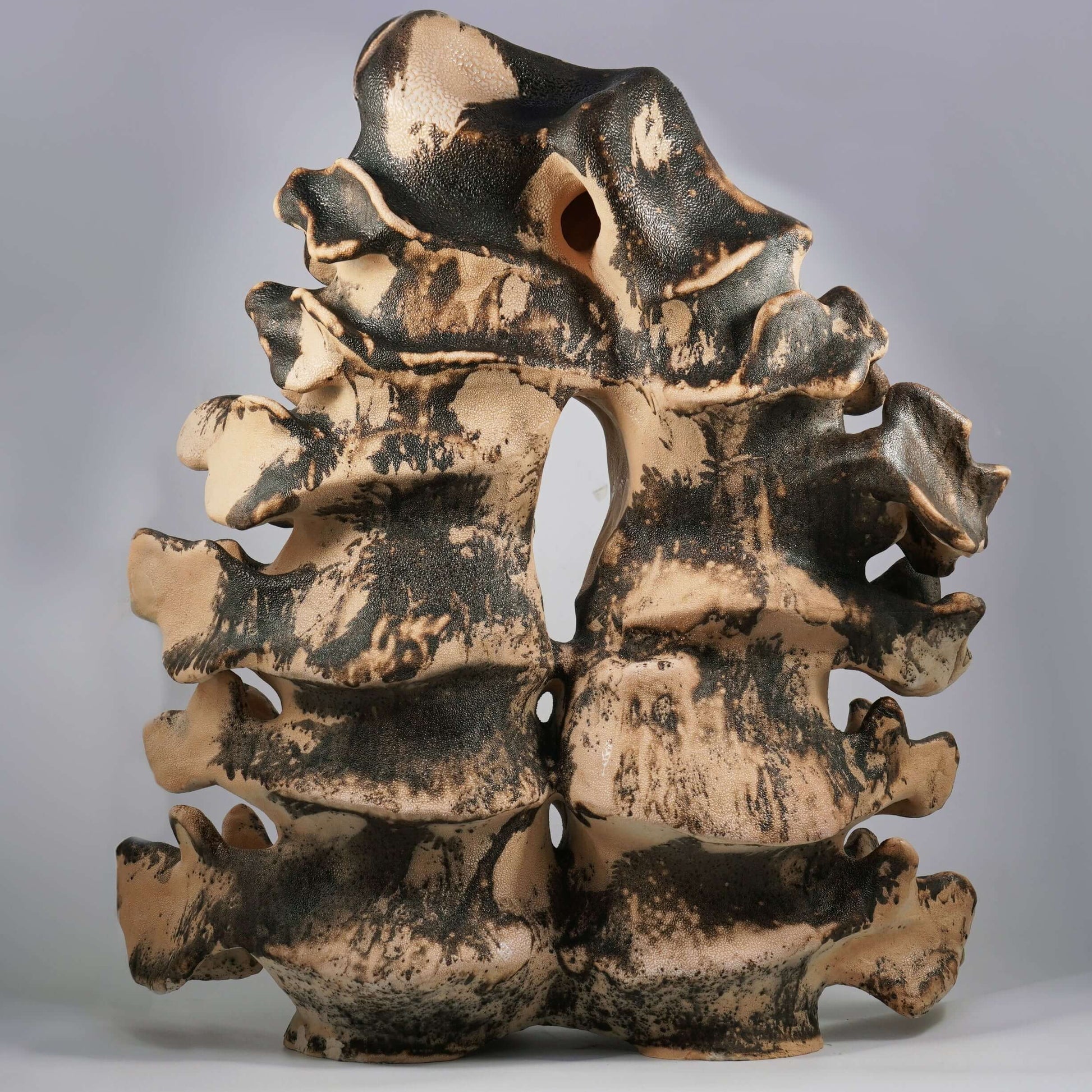 Bone series no. 2 - Bones collection raku ceramic pottery sculpture by Adil Ghani