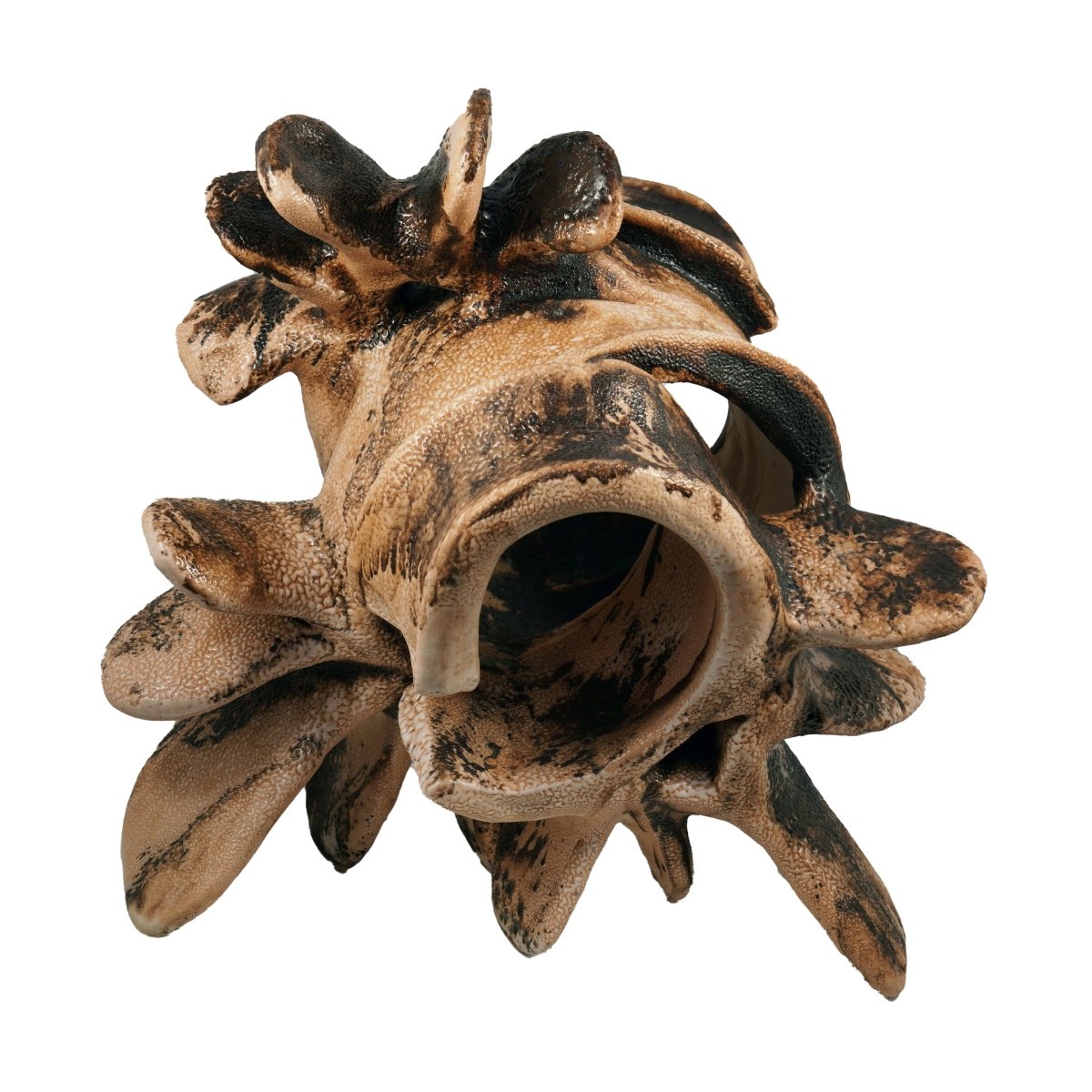 Bone series no. 1 - Bones collection raku ceramic pottery sculpture by Adil Ghani - RAAQUU